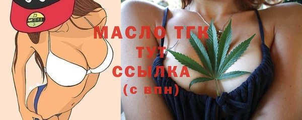 винт Пересвет
